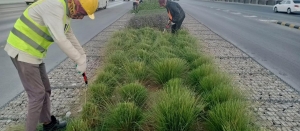 Transform Your Riyadh Garden with Expert Softscape Landscaping Services