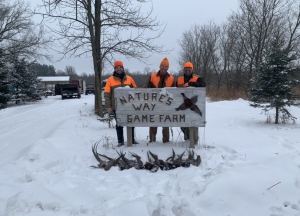 Want a Thrilling Quail Hunting Experience in Illinois? Don’t Make These Mistakes