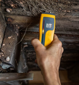 Comprehensive Guide to Mold Inspection in Hackensack, NJ