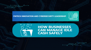 Fintech Innovation and Cybersecurity Leadership: How Businesses Can Manage Idle Cash Safely
