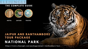 Jaipur Ranthambore Tour Discover Royal Jaipur and Wild Ranthambore
