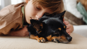 Positive Reinforcement Dog Training: A Gentle Approach That Works