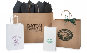 Custom Eco-Friendly Paper Carry Bags for Premium Branding