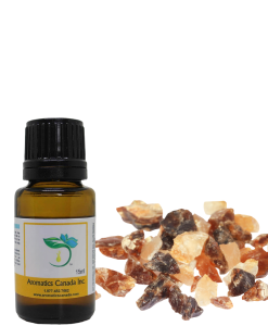 Frankincense Carterii Essential Oil