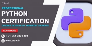 Professional Python Certification Course in Delhi by Industry Experts 
