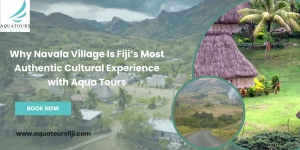 Why You Should Book Your Next Sightseeing Trip with Aqua Tours Fiji