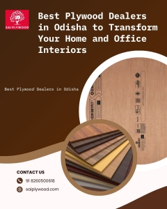 Best Plywood Dealers in Odisha to Transform Your Home and Office Interiors