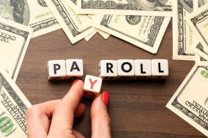 Future Trends Shaping Third Party Payroll Companies in the Digital Era