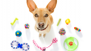 Premium USA-Made Dog Toys: Built for Safety, Strength, and Tail-Wagging Joy
