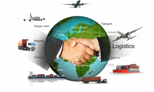 How Import Export Consultants Help Businesses Expand Globally While Ensuring Regulatory Compliance