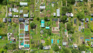 Plots in Dharuhera & Rewari: How to Make the Right Choice