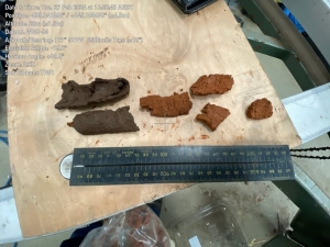 Understanding Planning Land Capability Assessment Services and the Importance of LCA Services