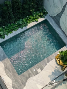 What Are The Most Popular Swimming Pool Treatment Systems?