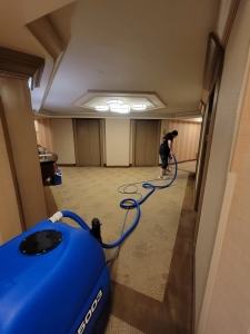 Professional Carpet Cleaning in New Jersey by SpecGen Cleaning