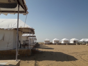 Golden Sands, Silent Nights, and Stories of Jaisalmer
