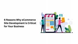 6 Reasons Why eCommerce Site Development is Critical for Your Business  
