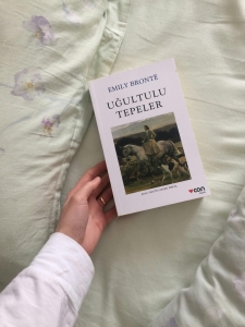 How Wikipedia Page Creation Services Can Build Your Online Authority Instantly