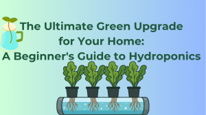 The Ultimate Green Upgrade for Your Home: A Beginner's Guide to Hydroponics