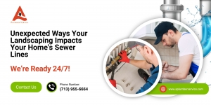 Unexpected Ways Your Landscaping Impacts Your Home’s Sewer Lines