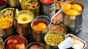 Canned Food Manufacturing Plant Project Report 2025: Raw Materials, Investment Opportunities, Setup Cost and Revenue	