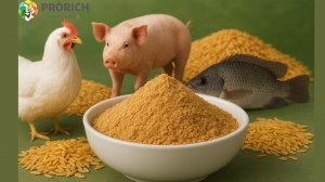 Why Choosing Reliable Soybean Meal Suppliers in Vietnam Is Crucial for Quality Animal Feed