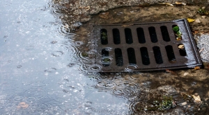 Dreaded Dilemma: Dealing with a Blocked Drain in Billinghurst