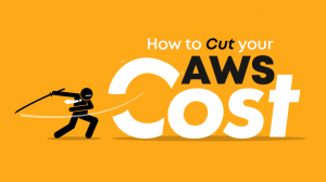 How to Cut Your AWS Costs by 50% Securely, Read full the Guide!