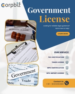 Get Your Government License Approved Faster — Expert Help Awaits!