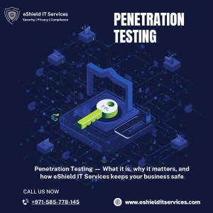 Professional Penetration Testing Services – Secure Your Business Today!