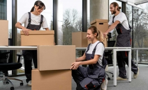 Professional Movers in Abbotsford, Canada