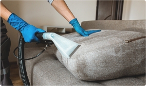 Why Professional Carpet Cleaning Is Essential for Every Home in Encinitas