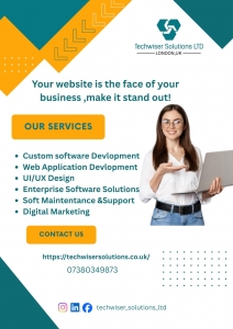 How Techwise Solutions LTD Helps Local Businesses Shine Online