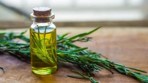 Unlock the Secrets: How Rosemary Oil Benefits Hair Growth