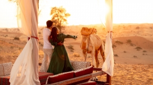 Desert Safari Dubai Booking – Hot Deals Inside!