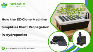 How the EZ-Clone Machine Simplifies Plant Propagation in Hydroponics