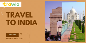 How to Choose the Best Tour Company in India for a Seamless Travel Experience