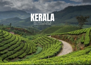 Kerala Travel Guide 2025: Best Places, Things to Do & Travel Tips