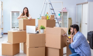 Moving With Plants: How to Make Sure Your Plants Travel Safely?