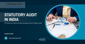 Statutory audit in India: full legal framework, detailed audit procedures, documentation standards, and compliance expectations