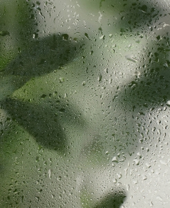 Vegan and Cruelty-Free Jelly Lip Gloss Brand to Support: ITY