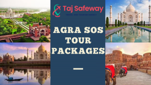 Agra SOS Tour Packages – Experience Agra’s Wonders with Safety, Comfort & Learning by Taj Safeway Tour