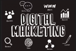 Digital Marketing Course in Bangalore for Freshers and Working Professionals: A Complete Guide for 2025