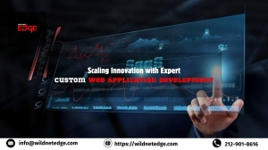 Scaling Innovation with Expert Custom Web Application Development