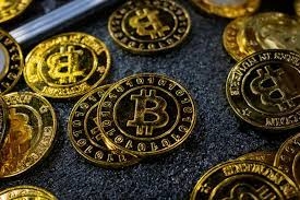 Bitcoin Investment Progress in Ozark