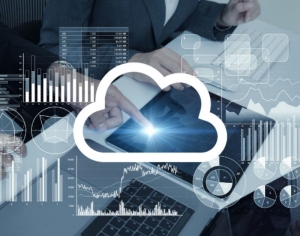 COTS Package Implementation