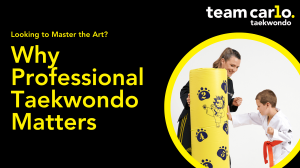 Looking to Master the Art? Why Professional Taekwondo Matters