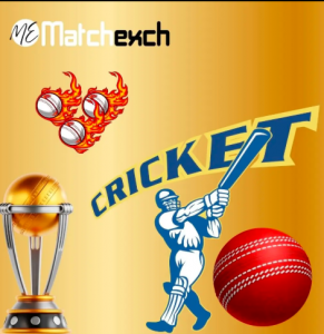 A Deep Dive Into Matchexch’s User-Friendly Interface: Enhancing the Future of Digital Entertainment