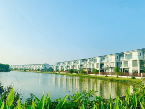 Belhomes Hải Phòng