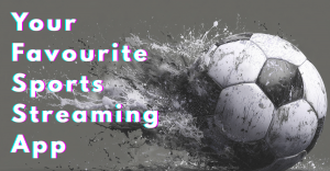 When the Game Speaks — Why Being a Sports Fan Means So Much More