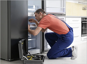 Leading Experts for Oven Repairs in Sydney 